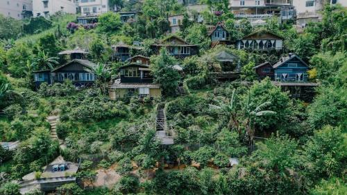 Cú Trên Cây Homestay