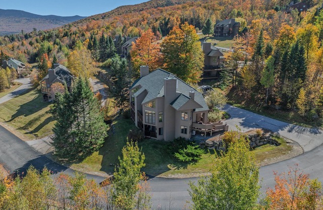 C11 Top Rated Townhome. Great views, fireplaces, wifi, AC! Short walk to slopes, and dog friendly!