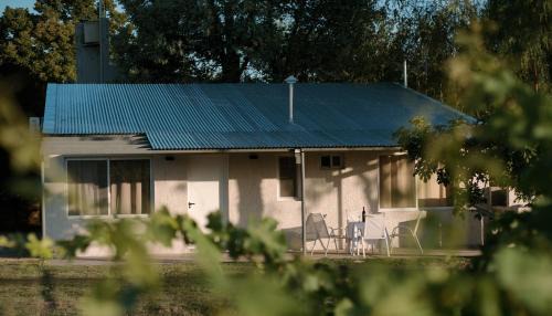 Cabaña 1920 - frente a viñedo