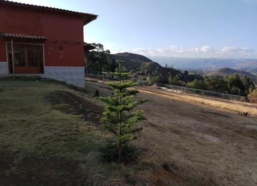 Cabaña casa de campo a 20 minutos de la ciudad de Cajamarca