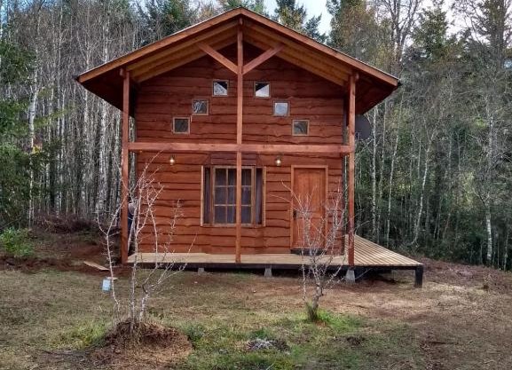 Cabaña entre Arboles