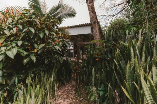 Cabaña Tierra Verde eje Cafetero