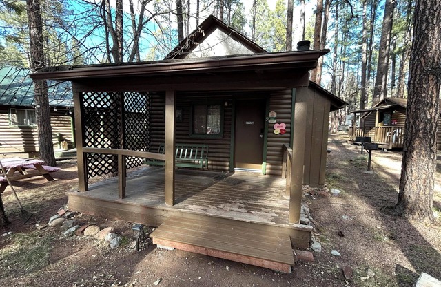 Cabin #9 - Studio with fireplace