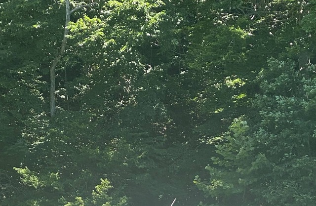 Cabin Cruiser on the Water