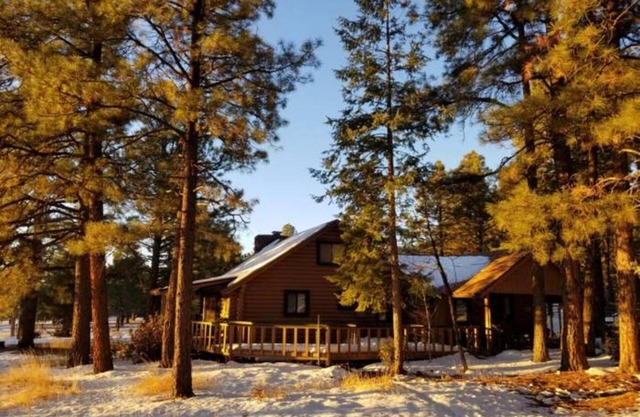 Cabin Escape surrounded by ponderosa pine trees and beautiful mountains.
