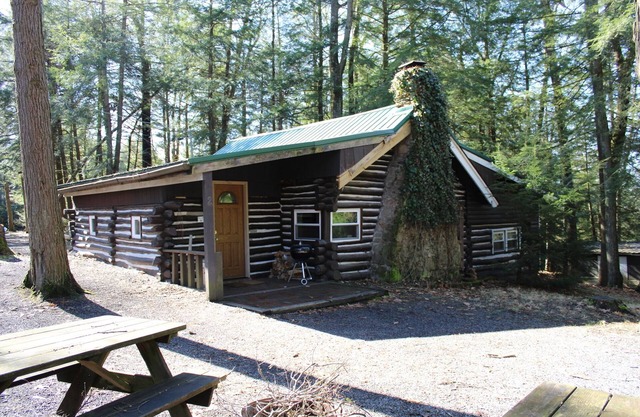 Cabin fit for a Family