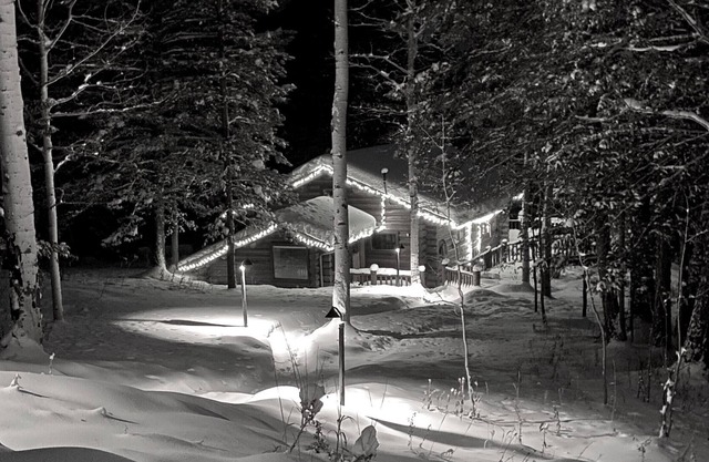 Cabin in The Woods - Wilson, WY