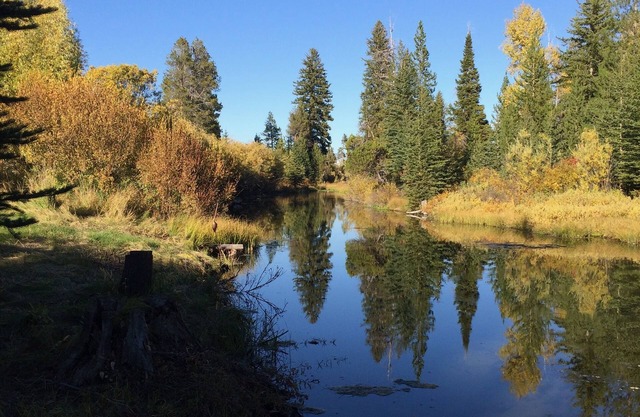 Cabin On Historic Guest Ranch. Private! Fishing! Secluded!