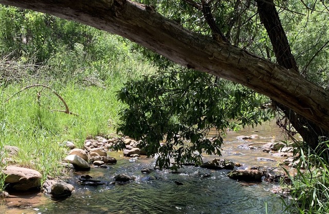 Cabin overlooking Tonto Creek across from Tonto National Forest