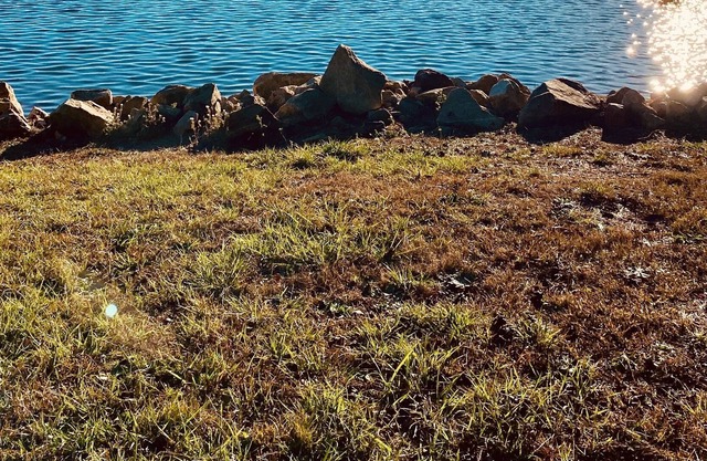 Cabins at Lake Hartwell