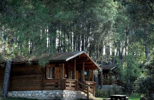 Cabins in Cuenca Llano de los Conejos. Standard 1