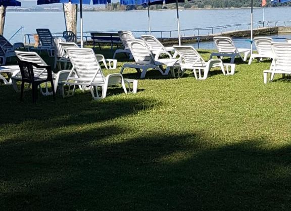 CAMPEGGIO PARCO DEI PINI