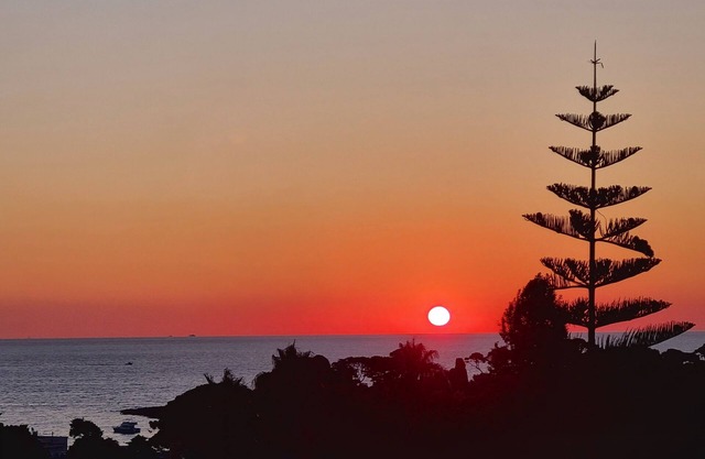 Cap d'Antibes, 5 minutes from La Garoupe beach on foot, recently renovated apartment