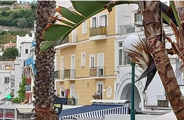 Capri Aquarium Friends