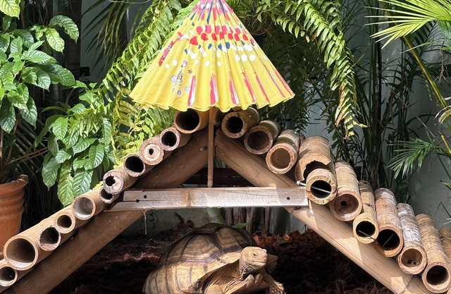 Capybara Zen Resort And Spa