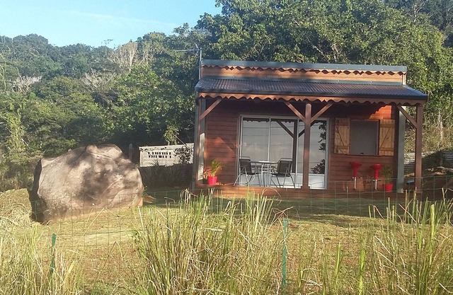 Caribbean cotton plum