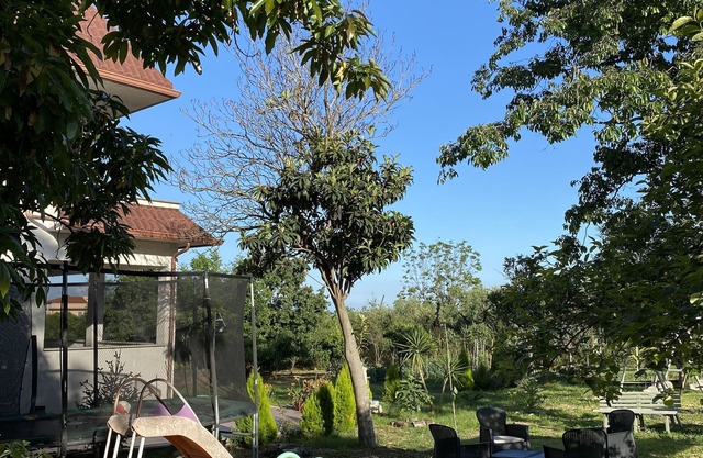 CASA ADRIANA "Apartment in villa top floor sea and mountain view"