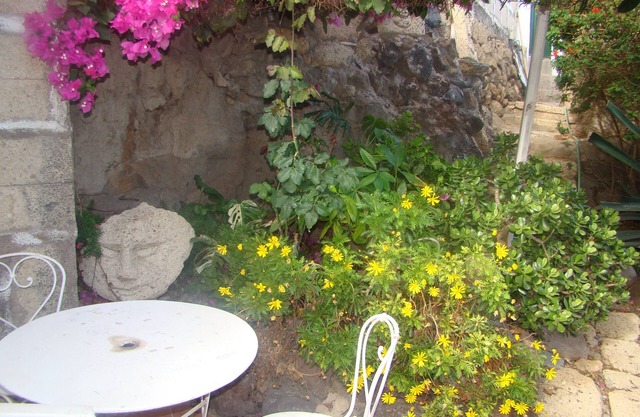 Casa Casilda, Bed and Breakfast in the south of Tenerife