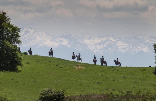 Casa Contatore Eterna Transylvania