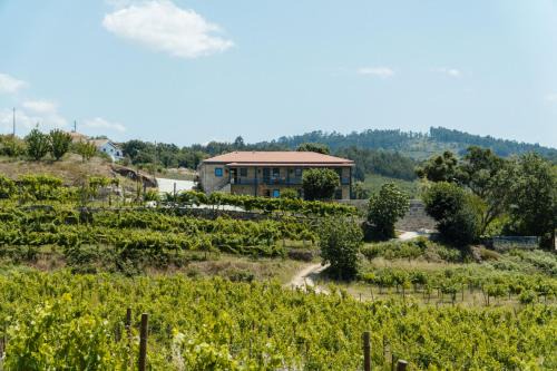 Casa de Algar - Enoturismo