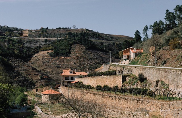 Casa do Caseiro by Quinta de Recião
