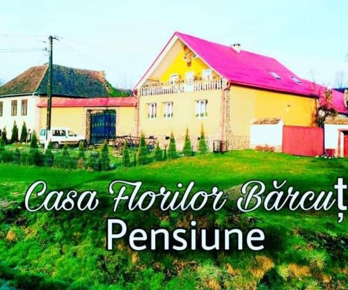 Casa Florilor Barcut