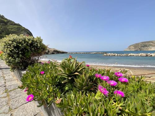 Casa Francesco Seaside