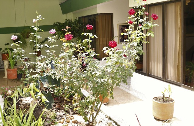 casa hostal las mercedes