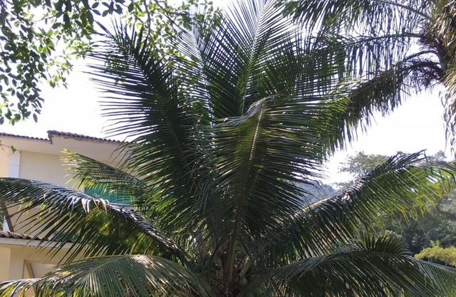 Casa Luxuosa in front of the big island In a gated community with a pier