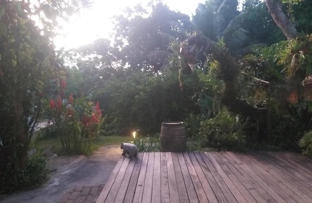 Casa Mangaba