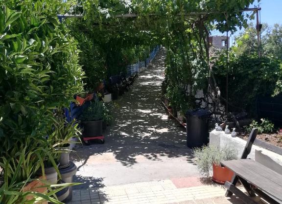 Casa Mari Carmen y Jose