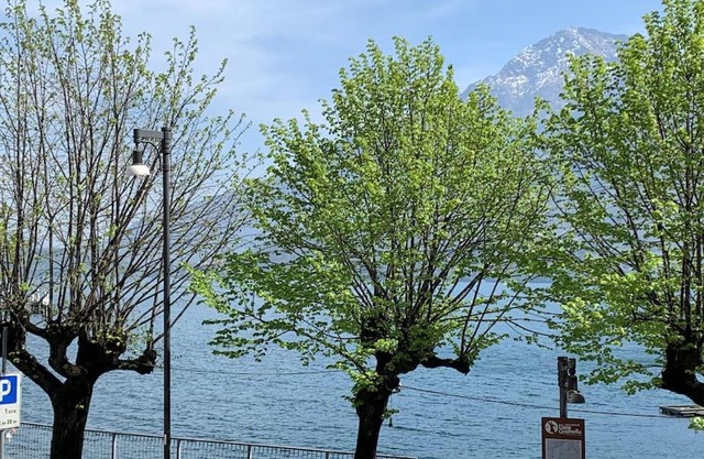 Casa Rino: Vacanze in casetta.