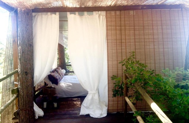 Casa sull'albero - Only for lovers Experience -