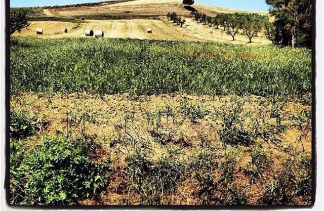 Cascina al Colle - Apartment Elisa