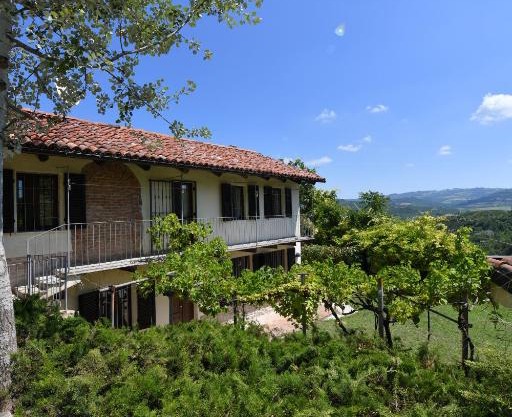 Cascina Flino - Tra le vigne - Appartamento 2