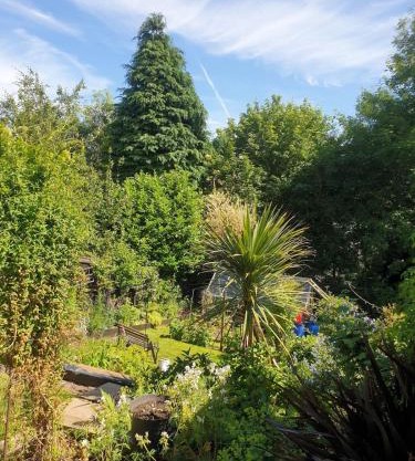 Casita in the garden