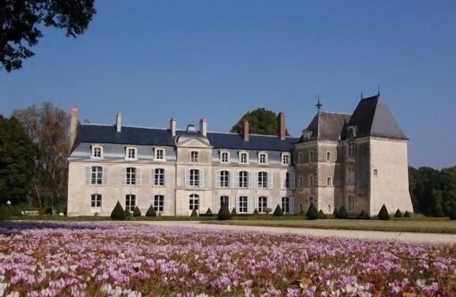 Castle in the Loire Valley in a 30 ha historical park with heated pool