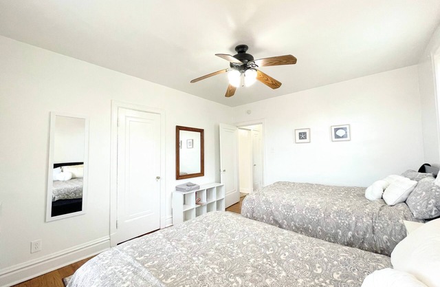 Center of Saint Louis with Beauty