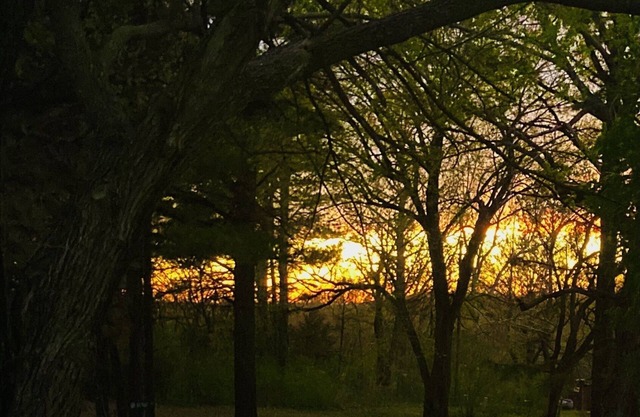 Centrally located 5 min to Lake Eufaula marina and great driveway for boats