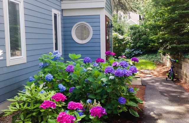 Centrally Located Private Corner Unit