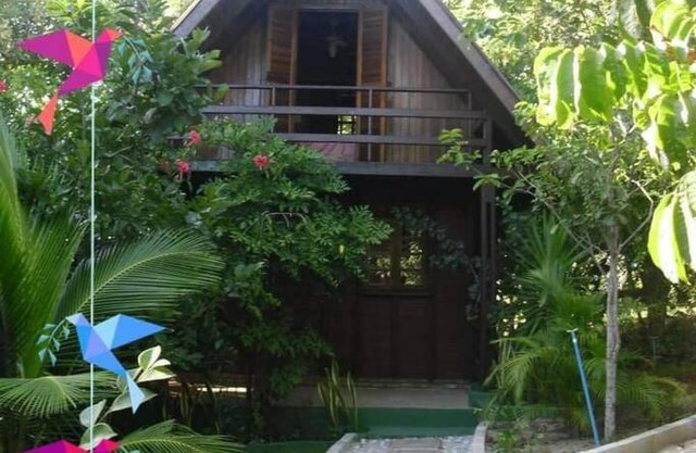 Chalé de Madeira nr03 - Exuberante Flora e Fauna - IMBASSAI