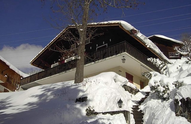 Chalet Abigrot 4-bed flat