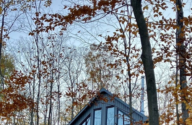 Chalet Bolton - in the forest, family holidays or telecommuting!