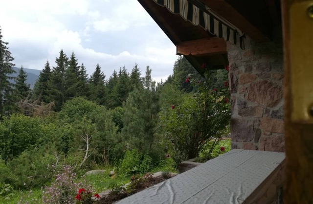 Chalet | Chalet - Adamello Park, Limen BS