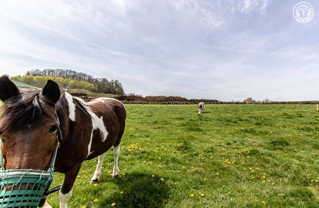Chalet Daniel - CUSSY EN MORVAN