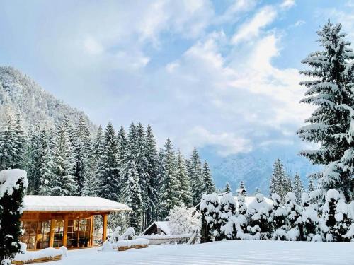 Chalet in Kitzbühel Alps near Ski Slopes