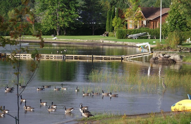 Chalets et Gîte au bord au bord du Lac Kénogami