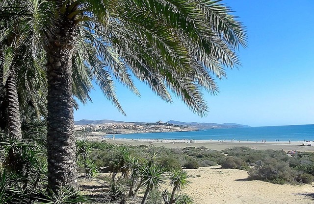 Charming bungalow, by the sea, close to the beach, large terrace 25 m. WIFI