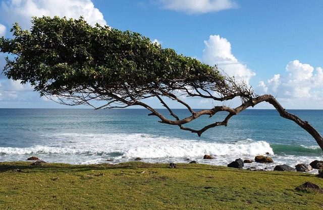 Charmant bungalow pour 8 personnes avec piscine