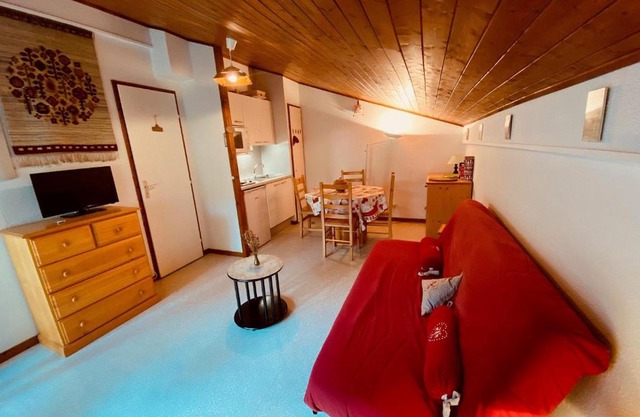 Charmant studio avec balcon et parking couvert, proche télémix et pistes, à La Clusaz - FR-1-459-61